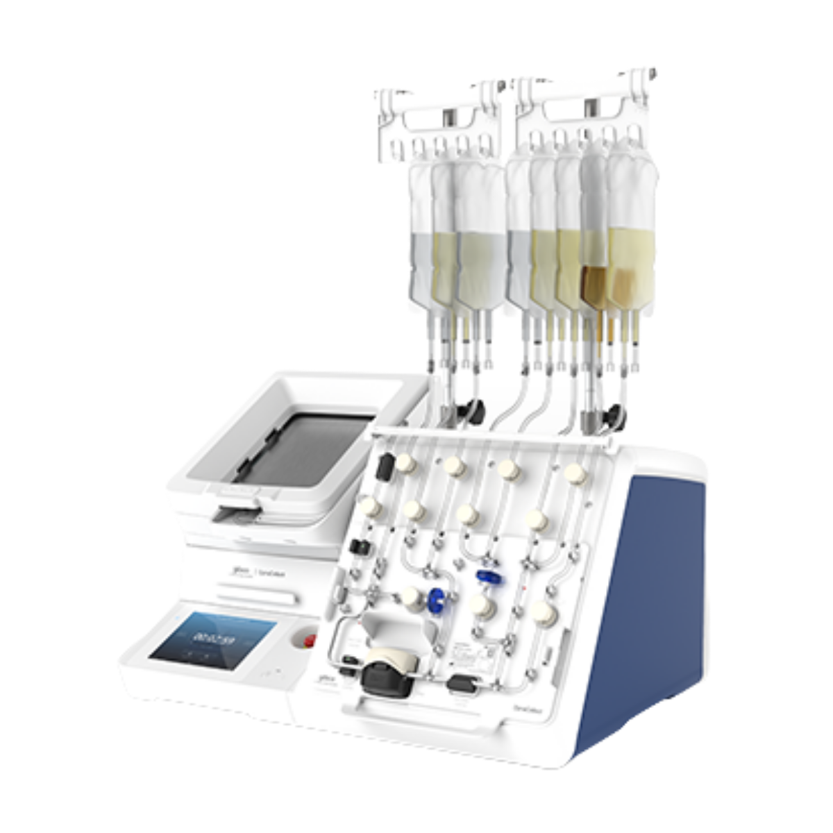 Thermo Gibco DynaCellect magnetic cell separation system for immunology research.
Gibco DynaCellect,
 DynaCellect,
magnetic cell separation,
DynaCellect specifications,
Thermo Fisher cell separation,

